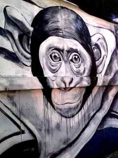 street art in bologna xm24